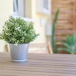 Bed & Breakfast Paladino Giardini Naxos